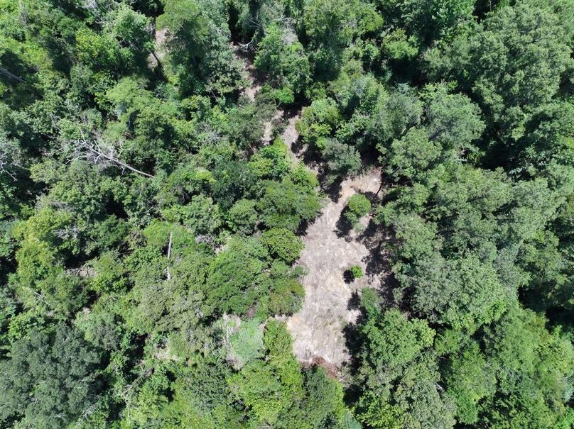 dji_fly_20250708_124004_0216_1752089881519_photo