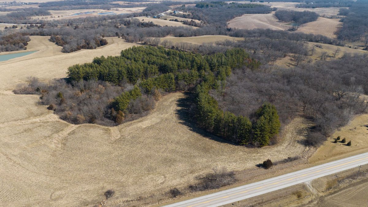 Buildable Acreage With Pines And Farmland On A Paved Road Whitetail