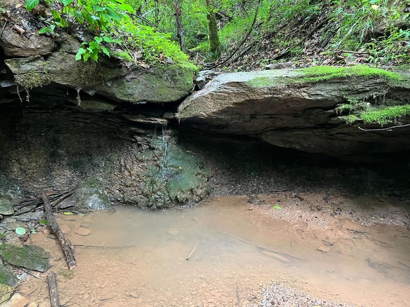 Wirt, WV 150.75 AC Tinnell-16