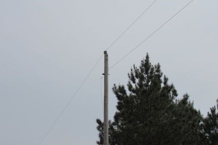 Telephone pole  Arkansas Hunting