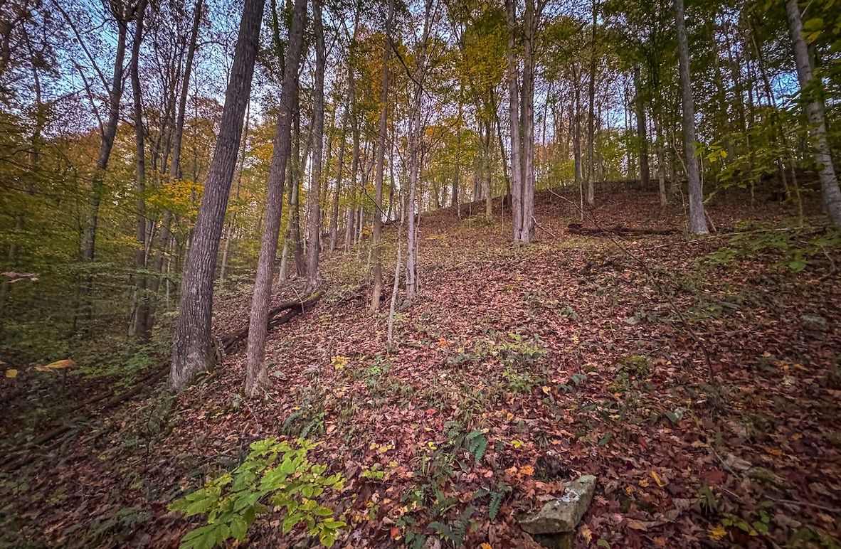 Wirt, WV 43 AC Berry-05