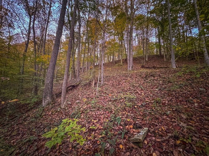 Wirt, WV 43 AC Berry-05