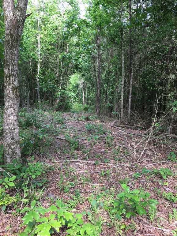 CAF0125A-F1CD-413A-B110-8C557118F0DA_1_105_c