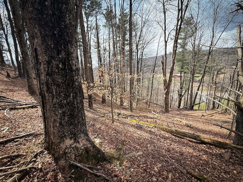 Chemung_32.07-Bower_photos_41