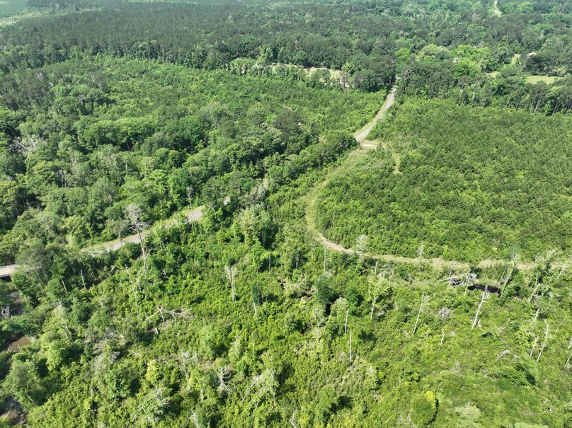 dji_fly_20230516_110152_122_1684333439969_photo