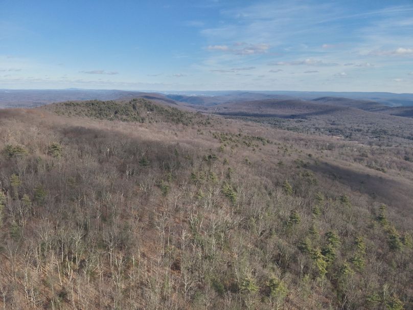 DJI_20231124123817_0013_V