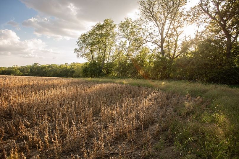 Copy of POTTAWATTAMIE CO IA 311 TRACT 3_18