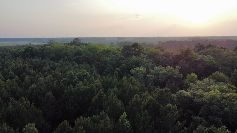 IMG_0276.JPG effingham