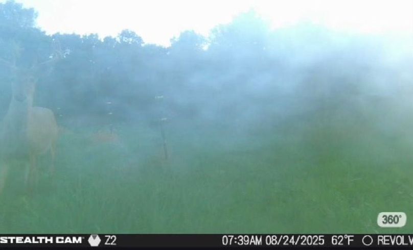 New Deer Trailcams (5)