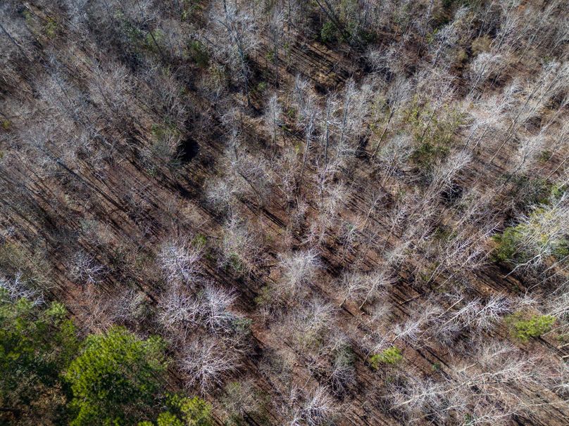 Pender NC 382 - Edits-37