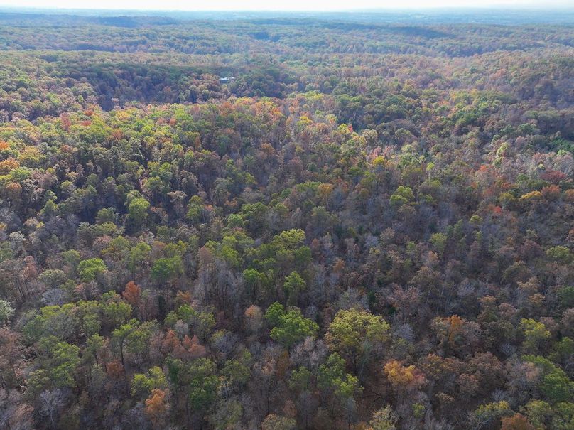 DJI_20251102094043_0809_D