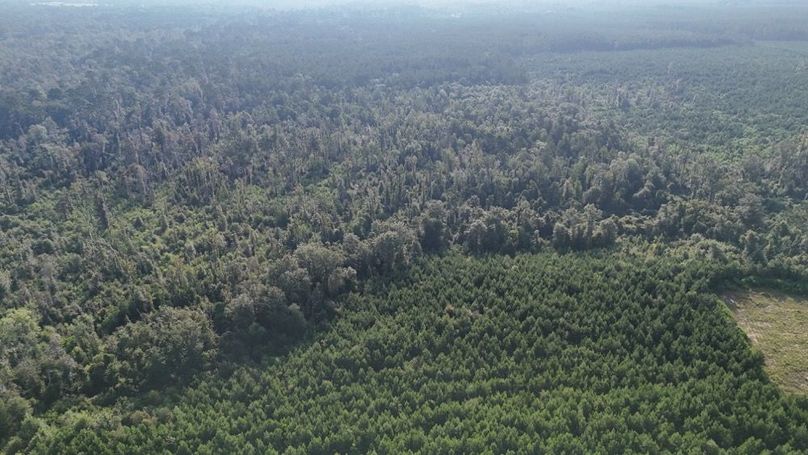 dji_fly_20250903_215830_0018_1756926956791_photo