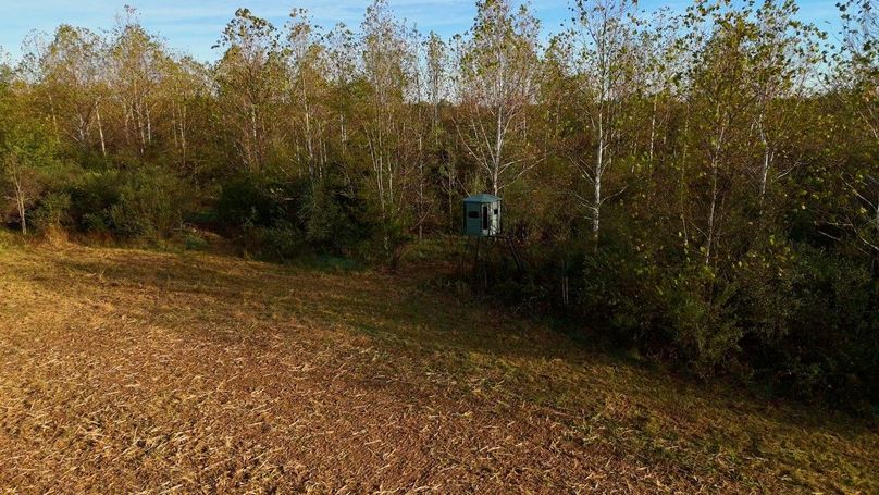 Sequence 07.00_03_16_03.Still102