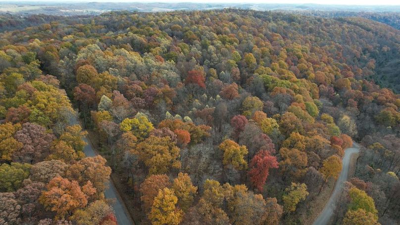 dji_fly_20251105_122204_899_1762380934339_photo