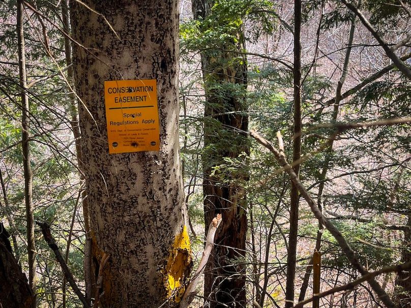 Oswego_22.46-Ross-French_Photos_37