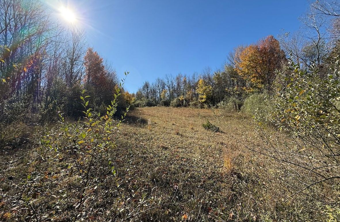 Wayne_18.11_Koehler Photo 1