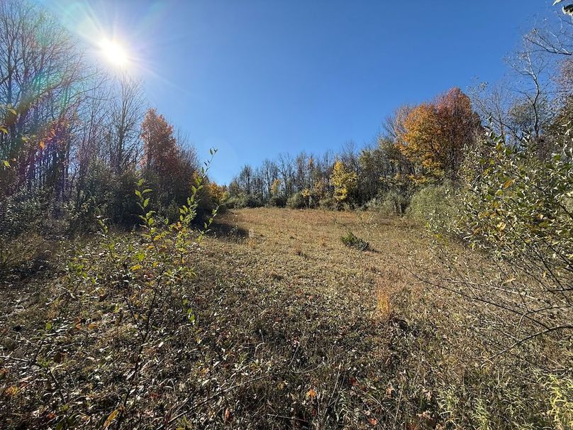 Wayne_18.11_Koehler Photo 1