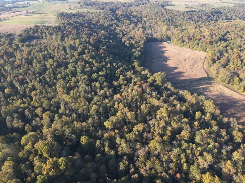 DJI_20251012175842_0005_W