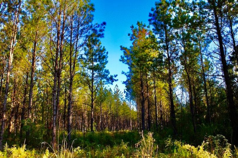 01F7A908-9ED5-4A40-A173-F6A7463276A3_1_105_c