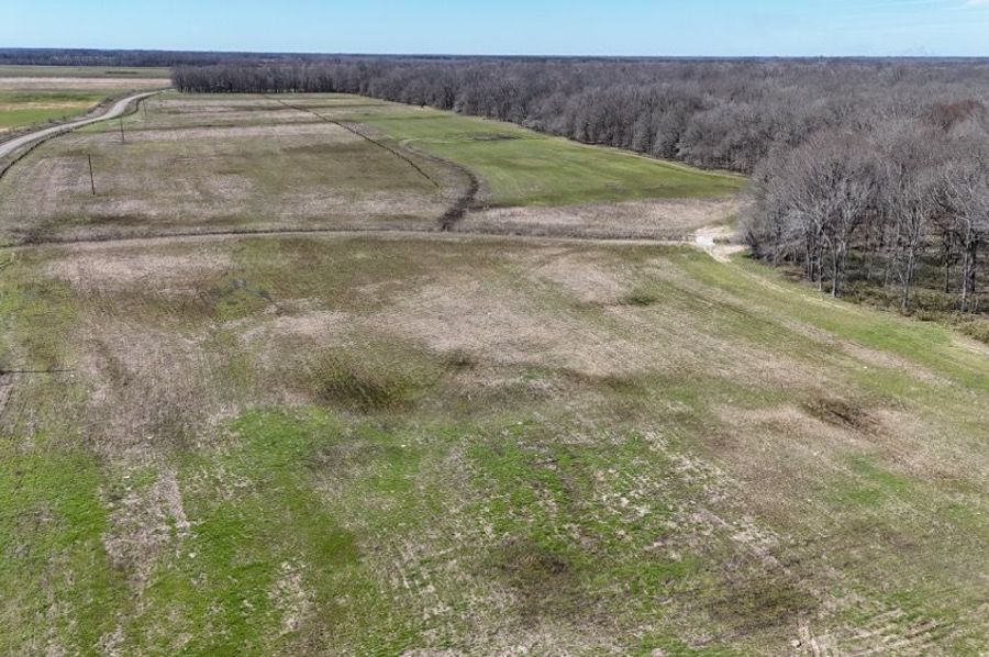 DJI_20250302030217_0424_D