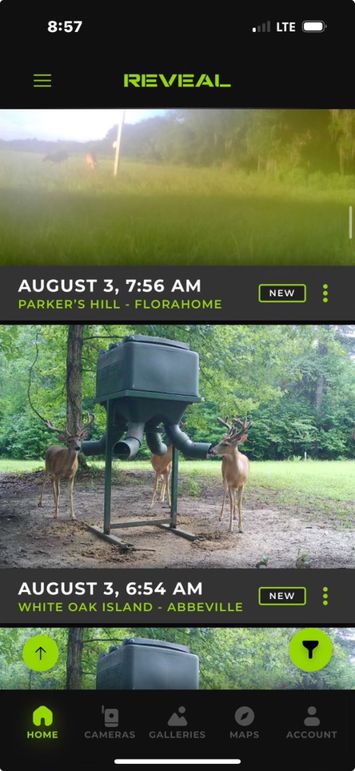 Screenshot 2025-08-03 at 8.57.17 AM