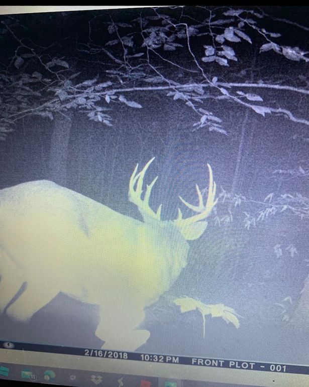 03 picture from the property