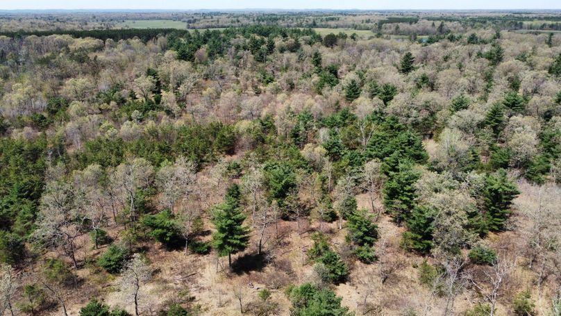 dji_fly_20230511_114820_460_1683838261962_photo_optimized