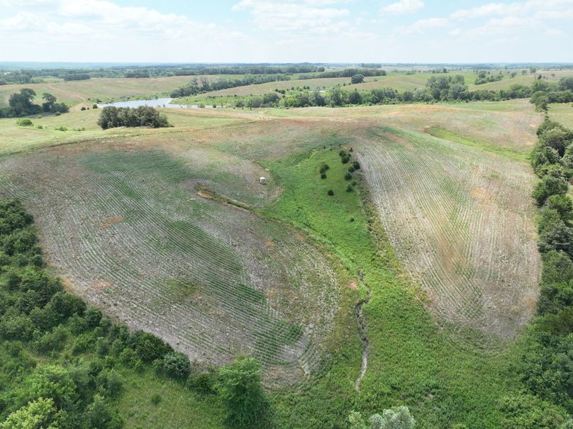 dji_fly_20230625_115008_461_1687717448685_photo