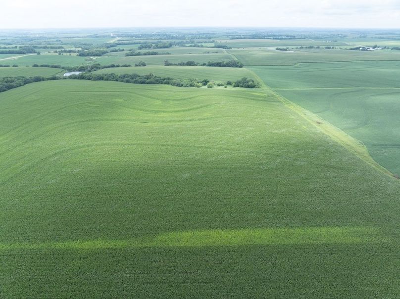 Copy of DJI_20250720133553_0070_D