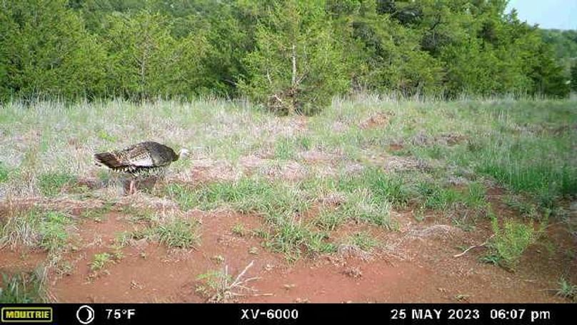 image638376235895809712