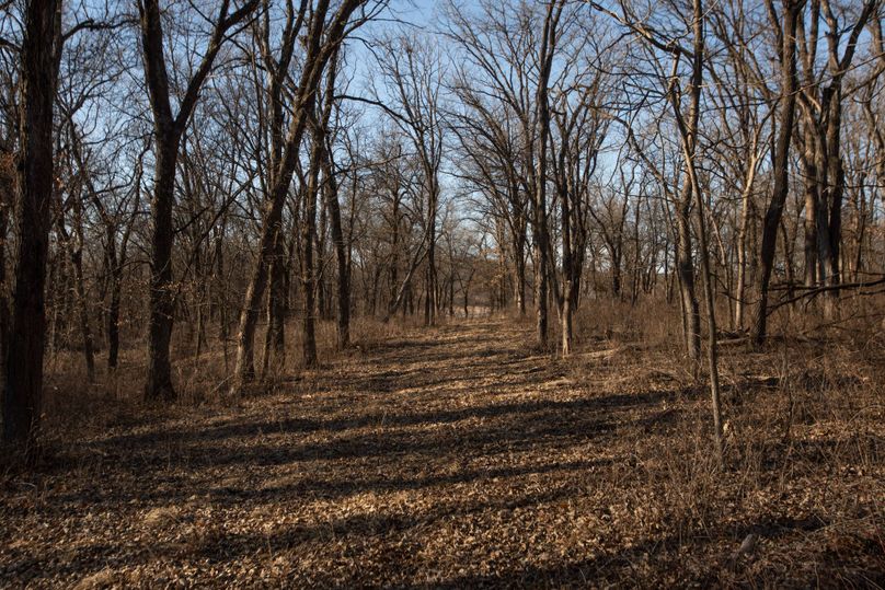 WORTH CO MO 537.44_29