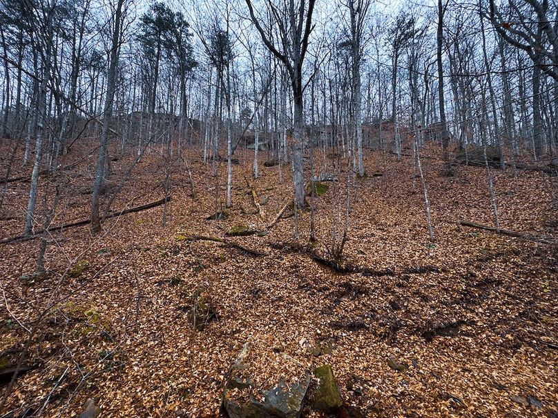 Ritchie, WV 100 AC Harper-46