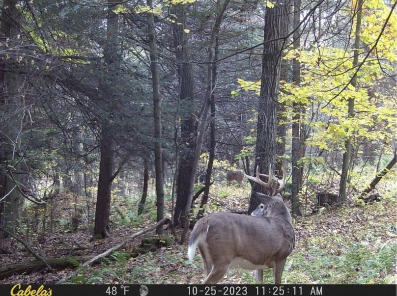 Screenshot 2026-02-25 213906