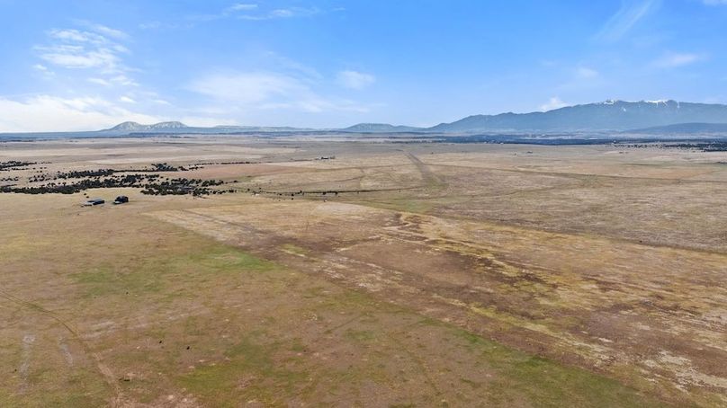 DJI_20250408164208_0039_D