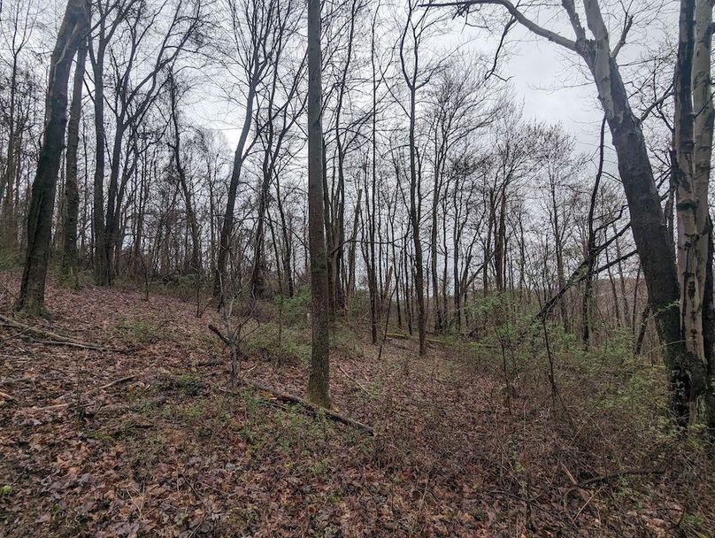 PXL_20240412_134908644