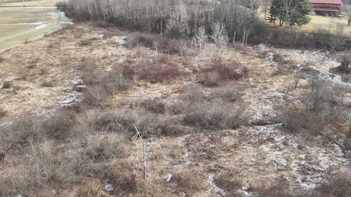 Buildable, Stream, Recreation, OGM Rights, Great Property | Whitetail ...