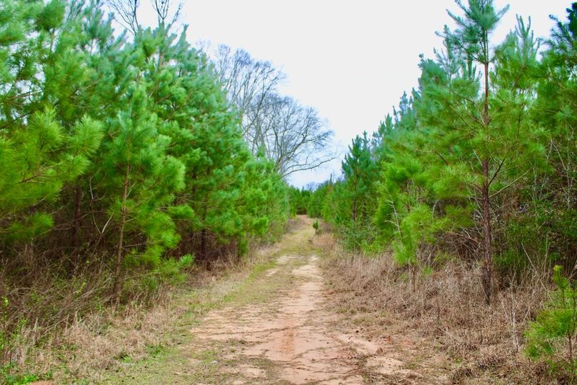 AA4060B0-3A21-4D02-89DD-85DDD1871E2B_1_105_c