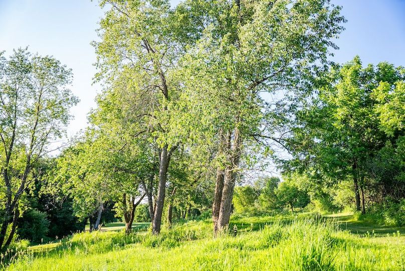 Fillmore 48.25 New Updates-48