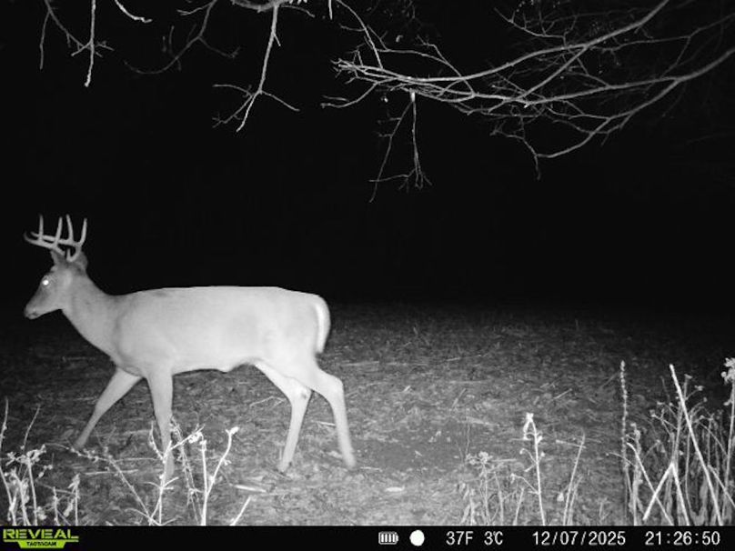 860516068095052-10-4-12072025212650-V-W1000137