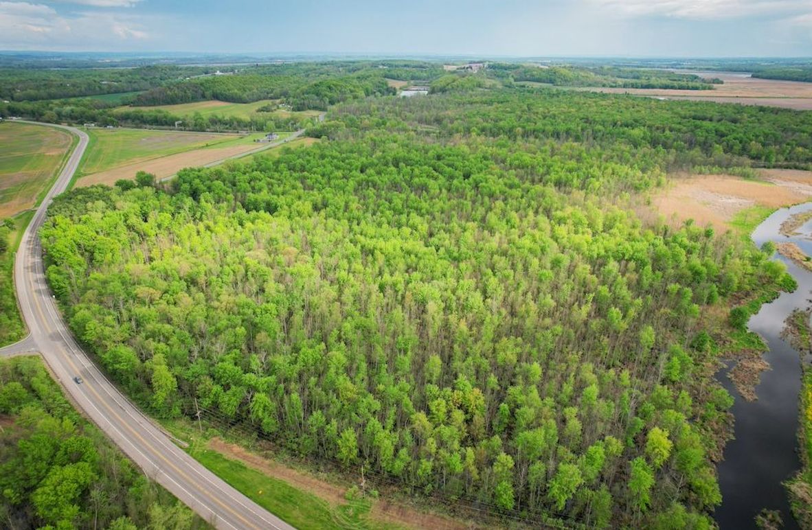 Wayne_85.97_King_Photos_1