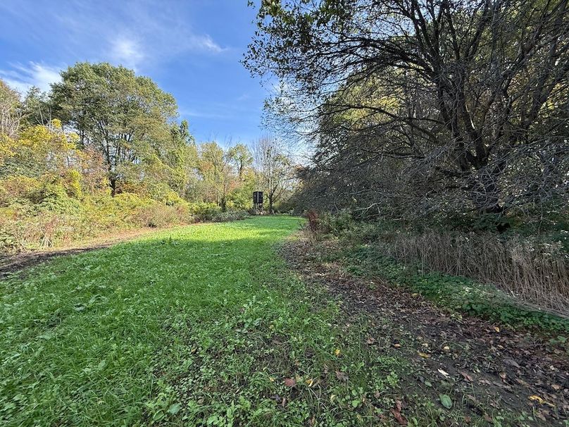 Cayuga_55.02_Herman Photo 31