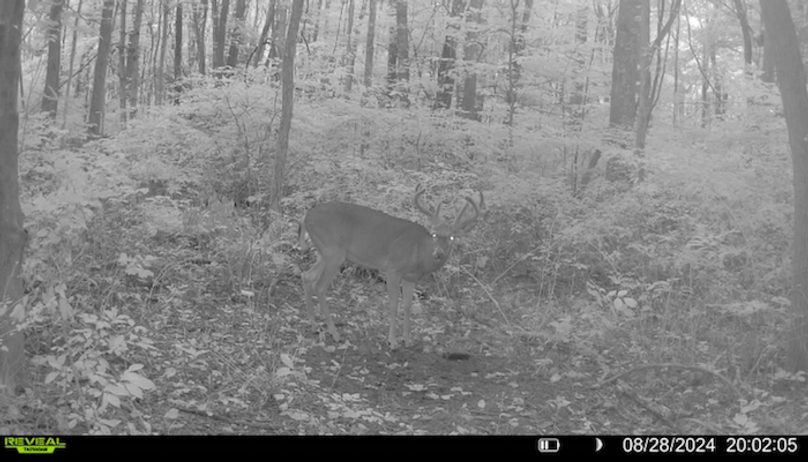 684826A4-CD37-491F-BD9D-6F60DF185550