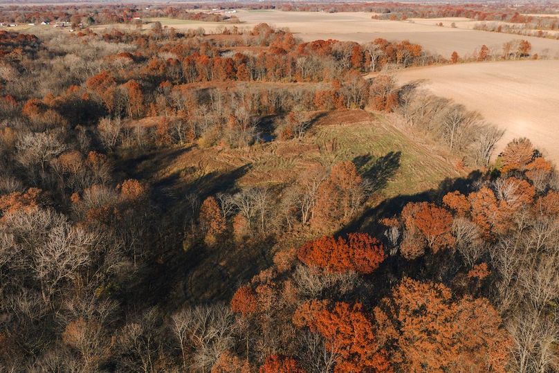 DJI_20251116081750_0079_D