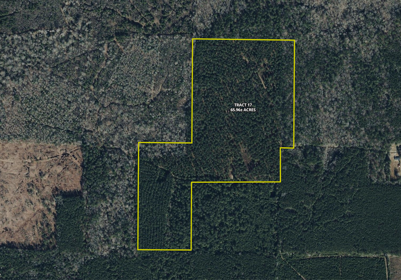 Union_Lafayette Co, AR 1779.aerial.Tract 17