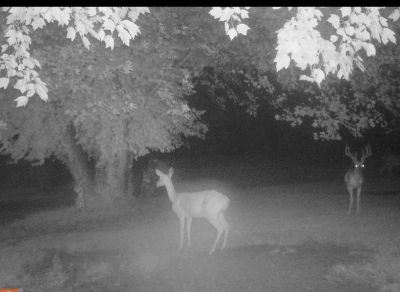 AF21DECD-5C3B-4FD3-B81F-60520FF1BB49