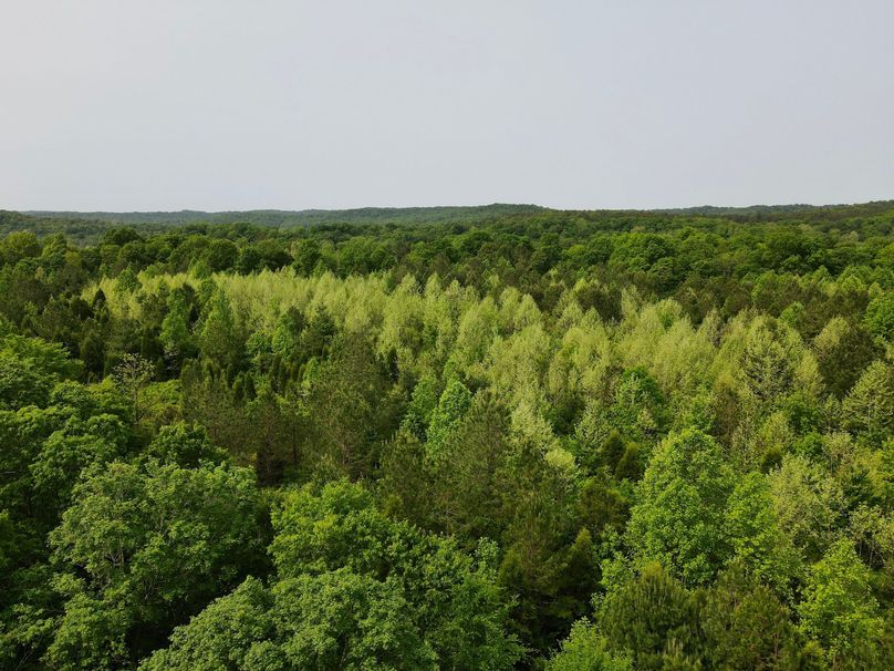 dji_fly_20230517_101512_392_1684336569866_photo