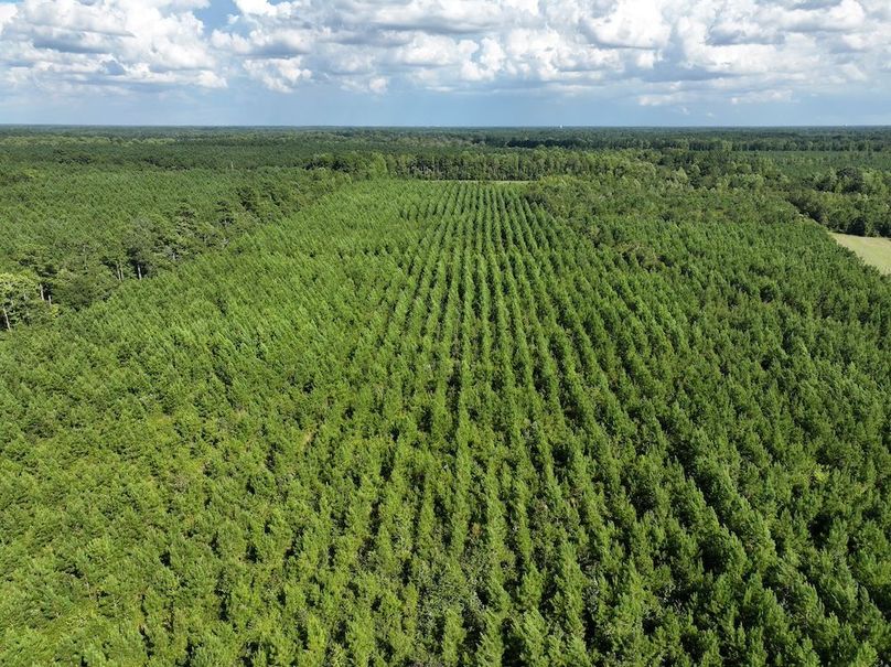 DJI_20240820164016_0016_D