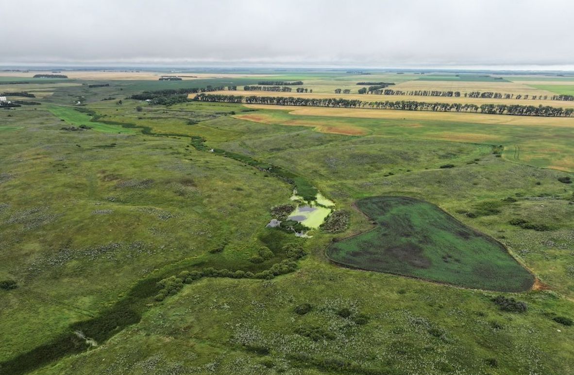 Copy of DJI_20250704133246_0604_D