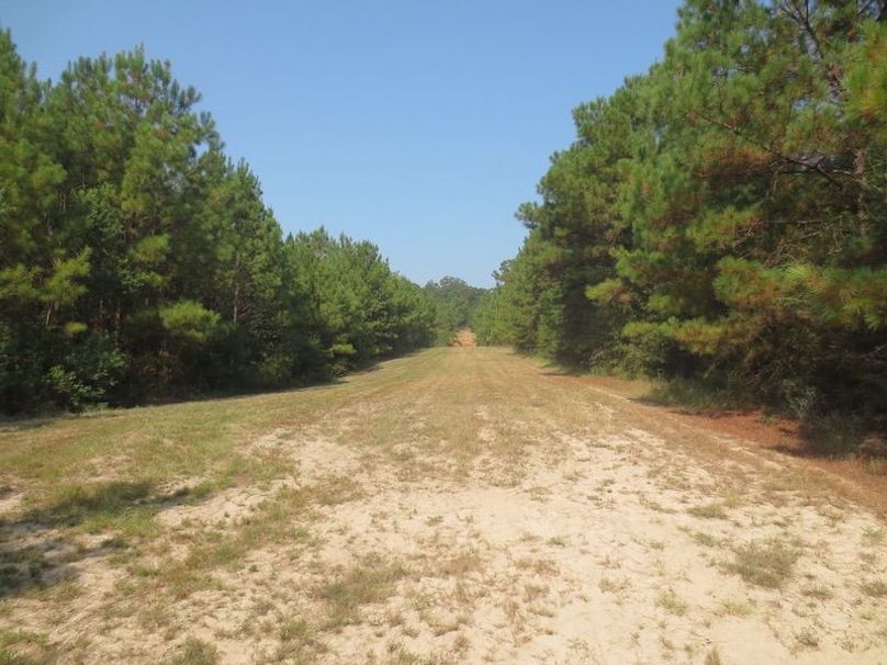 7700D23C-4F5B-4A98-B9E1-2C49D7FAD5D6_1_105_c