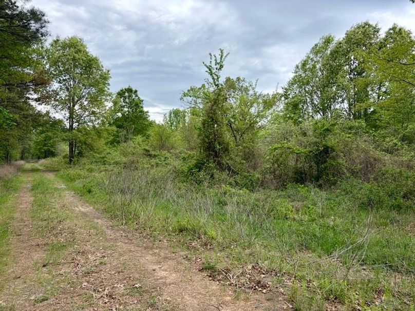 7205AA46-98F4-45A7-A0F3-7C007162F5B7_1_105_c